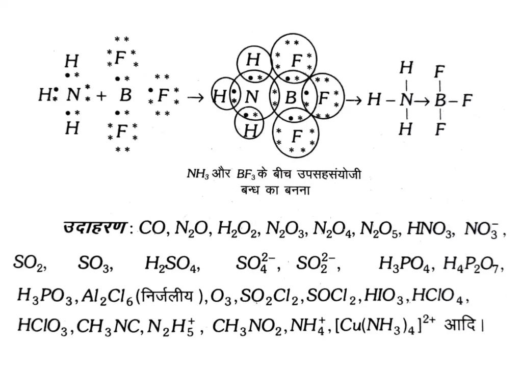 उपसहसंयोजक बन्ध